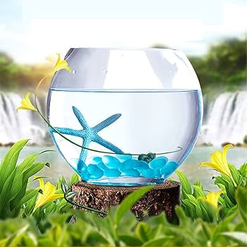 Amazon | 金魚鉢 メダカ 水槽 花瓶 フラワーベース おしゃれ